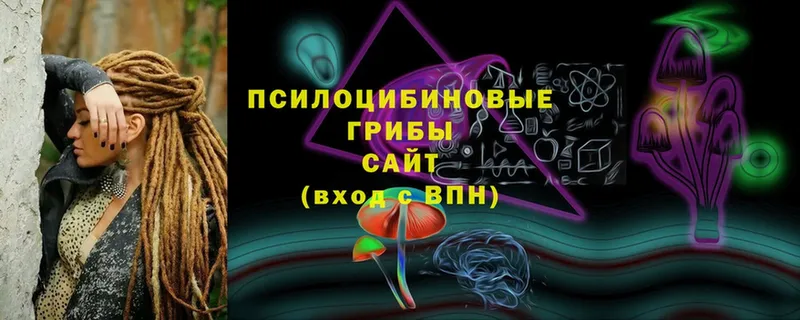 omg сайт  где можно купить наркотик  Нахабино  Галлюциногенные грибы Psilocybe 